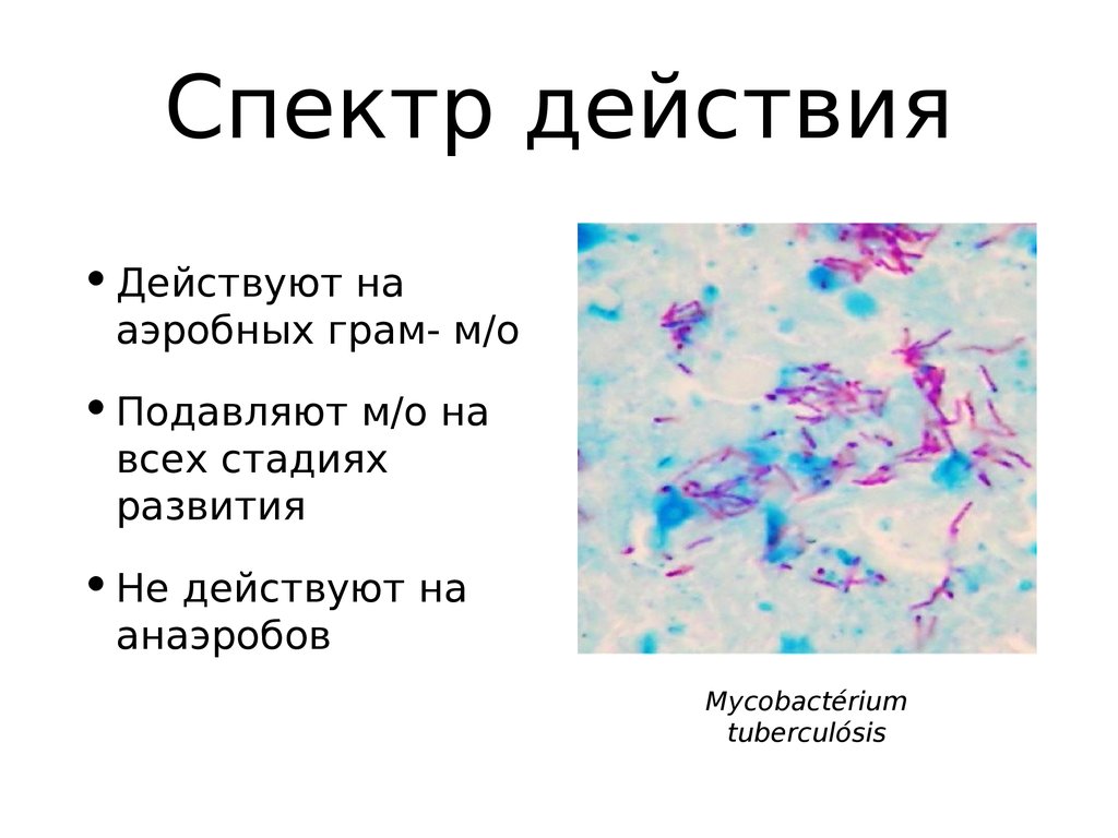 Спектр действия