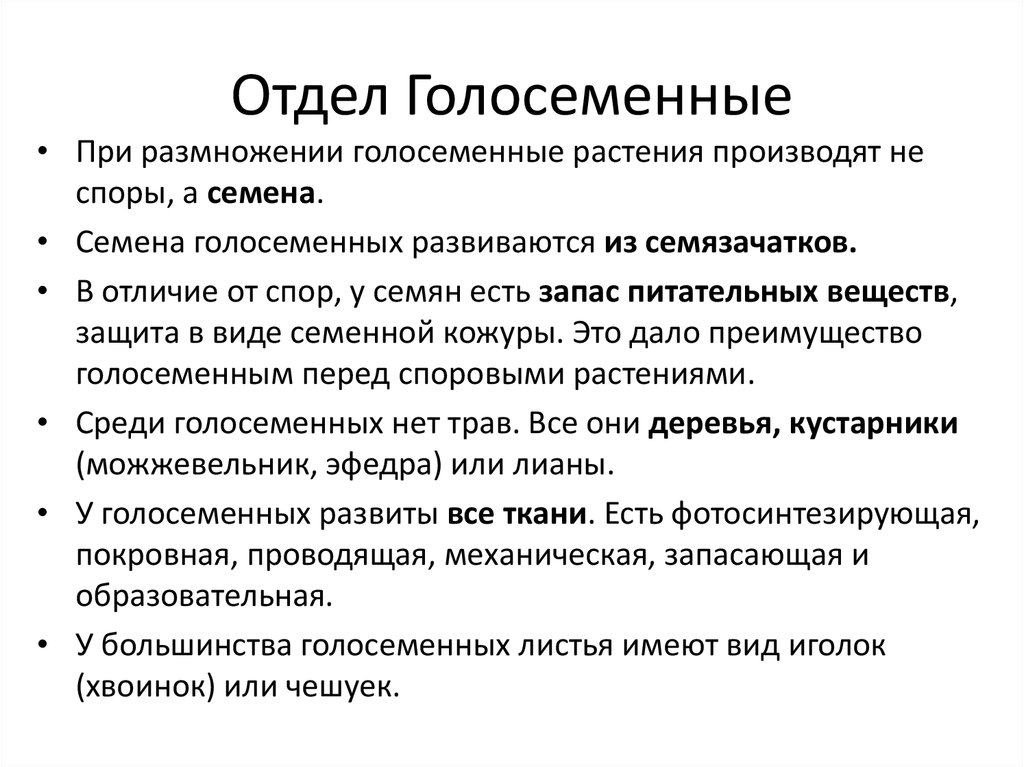 Курсовая работа по теме Отдел голосеменные