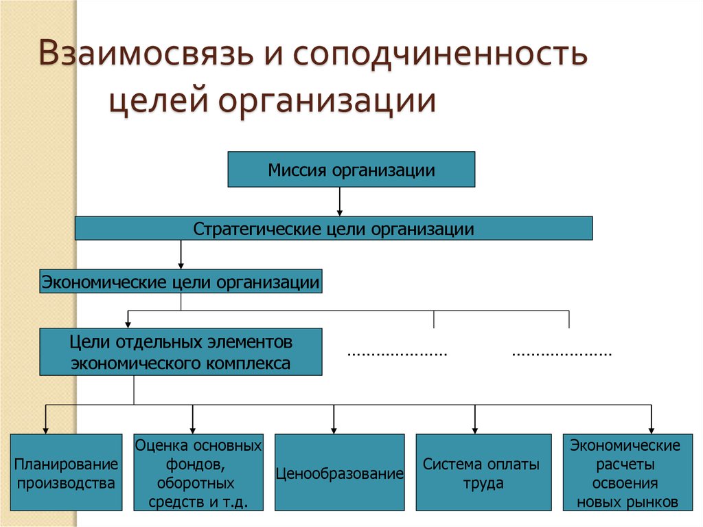 Организация ее цели и структура