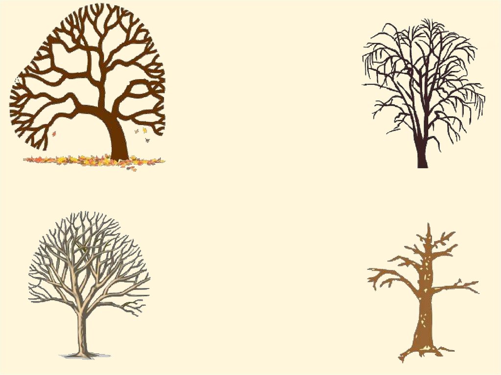 Четвертый лишний деревья. Задания 4 лишний на тему деревья. Игра четвертый лишний деревья для детей. Раскраска четвертый лишний дерево.