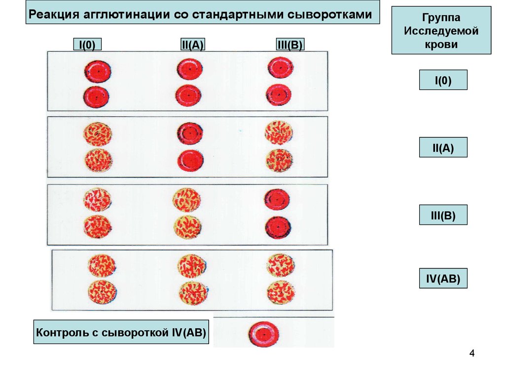 Жидкие группы крови