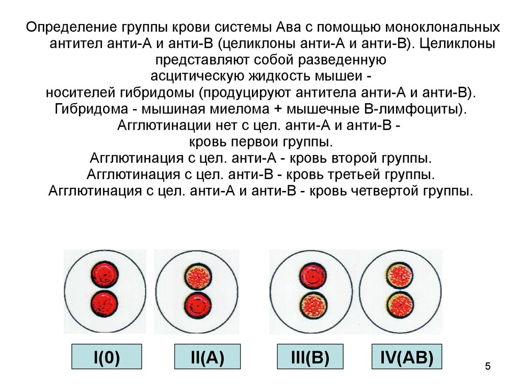 Цоликлоны группа крови резус фактор