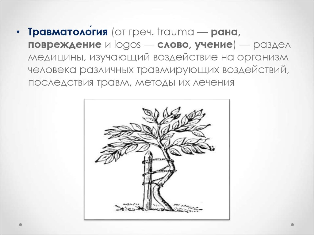 Основы травматологии презентация