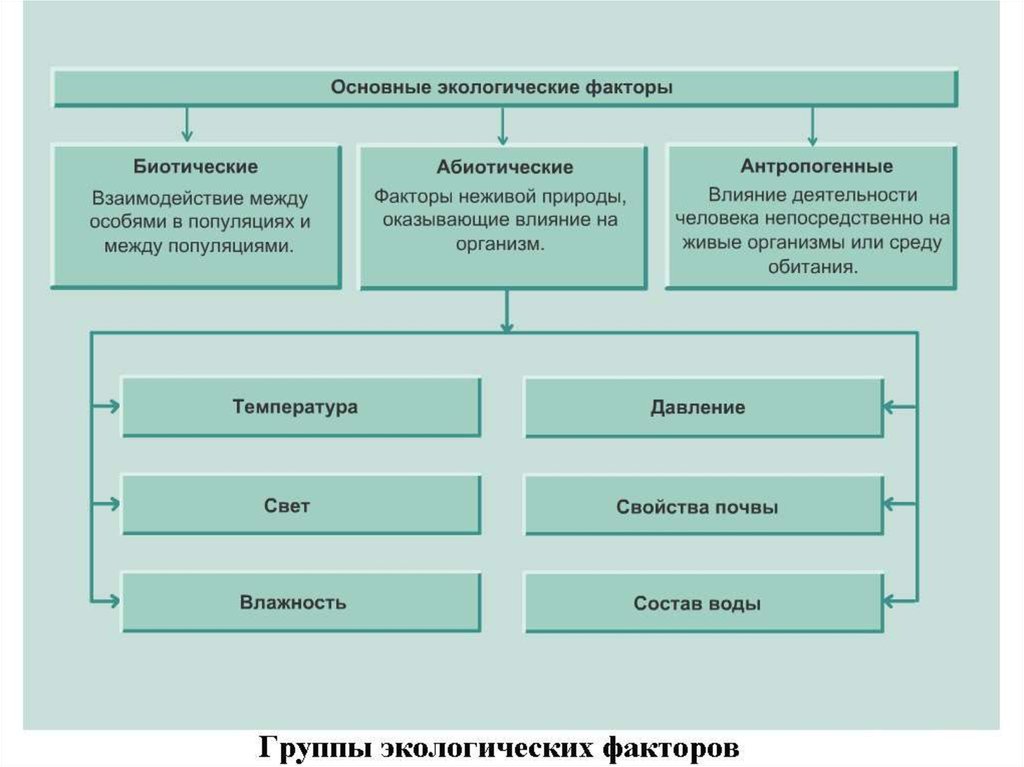 Схема классификации экологических факторов