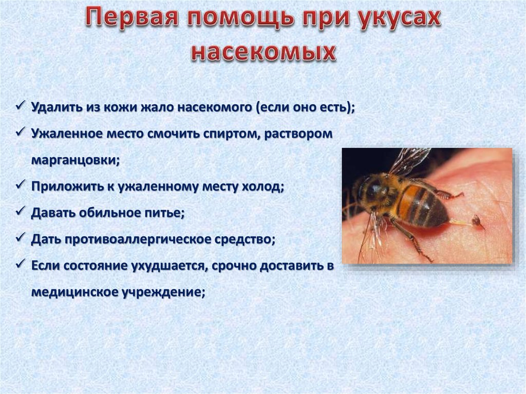 Укусы насекомых сообщение. Помощь при укусах насекомых. Первая помощь при укусах насекомых. Первая помощь при укусе ядовитых насекомых. Первая помощь при укусах змей и насекомых.