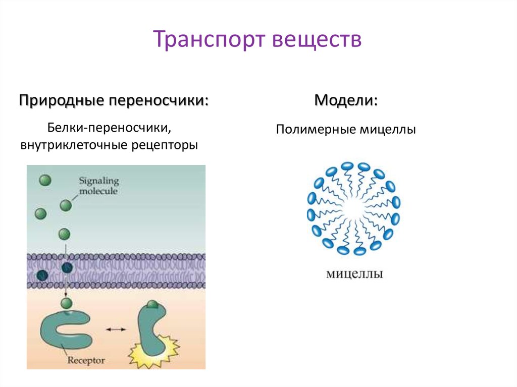 Тесты коллоидная химия