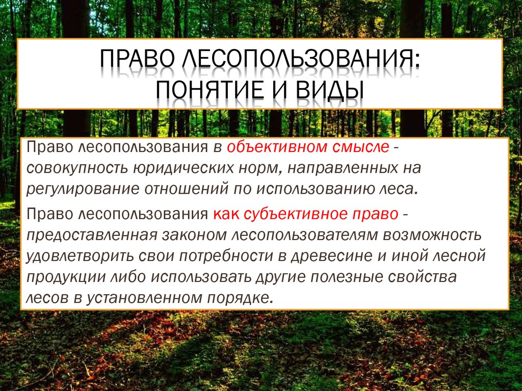 Право собственности земель лесного фонда. Лесопользование. Право лесопользования виды. Лесопользование презентация.