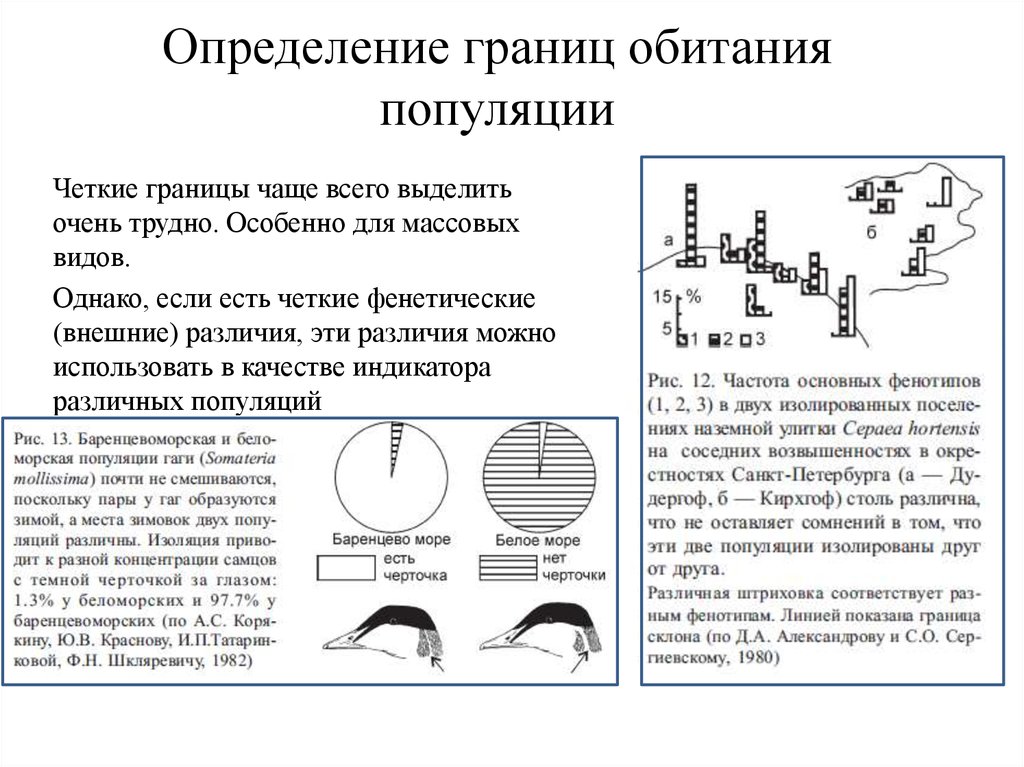 Определить границы. Границы популяции. Границы между популяциями. Границы популяции локальные. Как определить границы популяций.