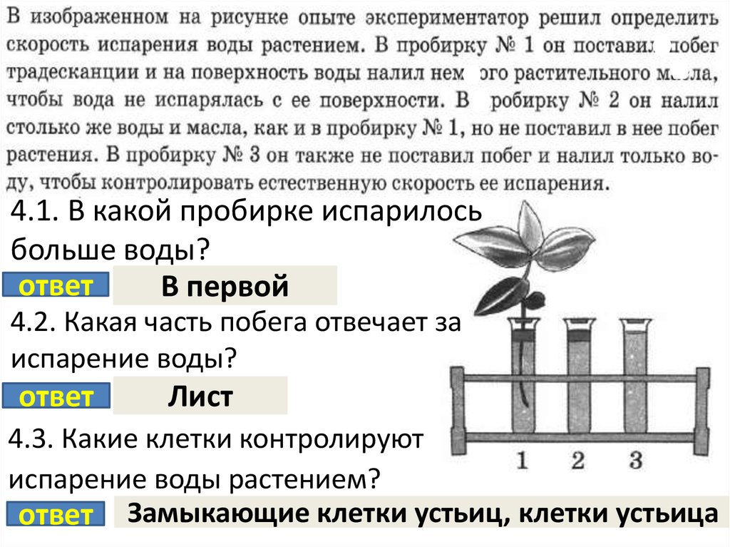 На представленном ниже рисунке ученик зафиксировал в виде схемы один из процессов жизни растения впр