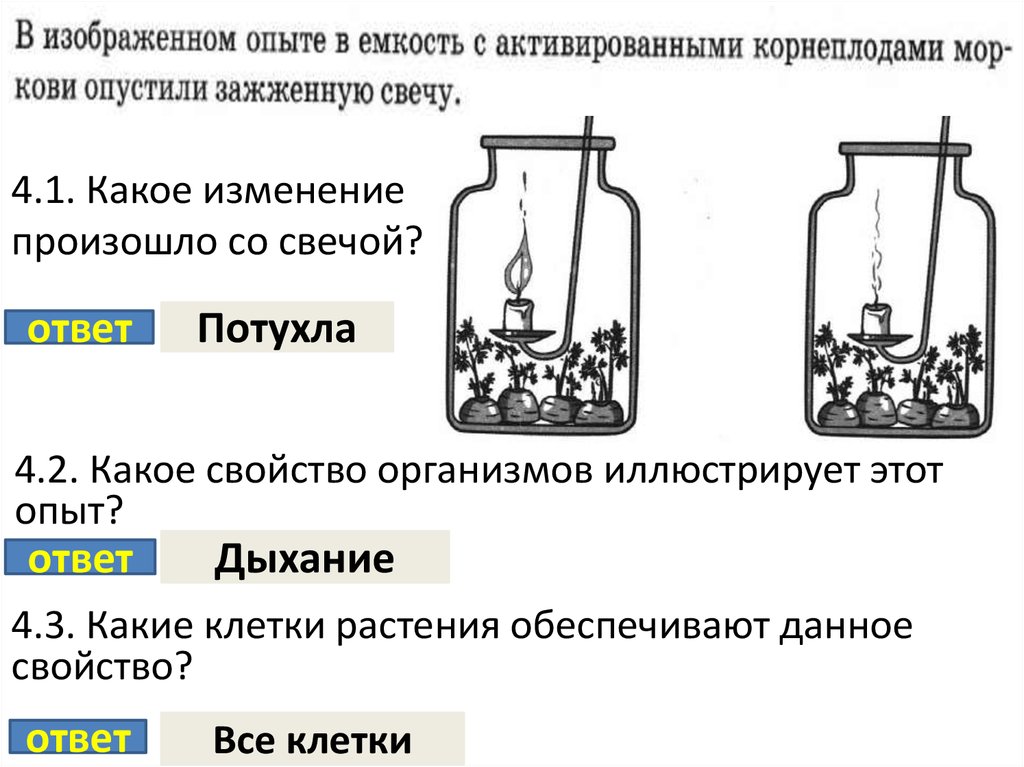 Опыт изображенный на рисунке