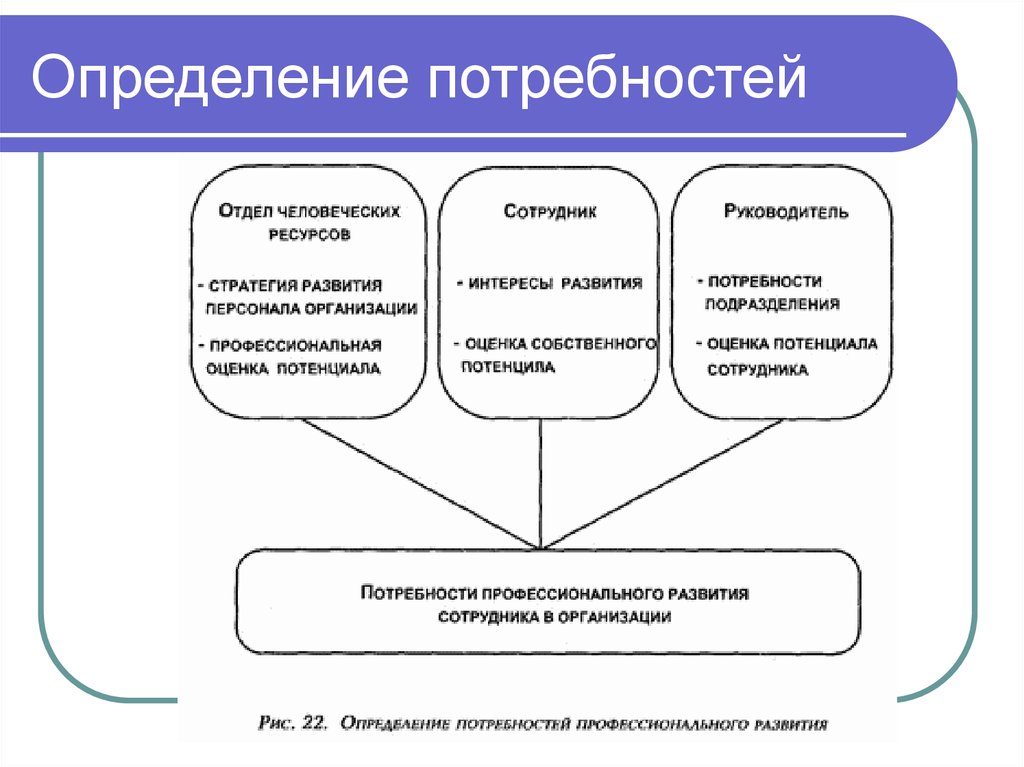 Оценка системы развития персонала