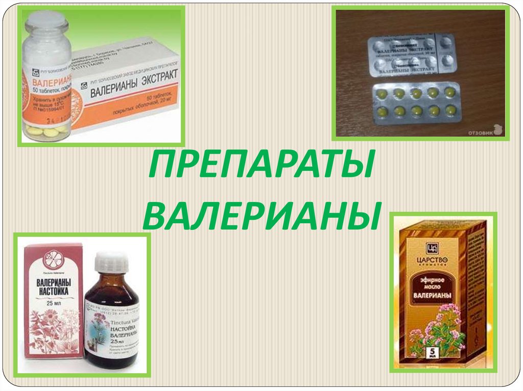 Седативные лекарственные средства - online presentation