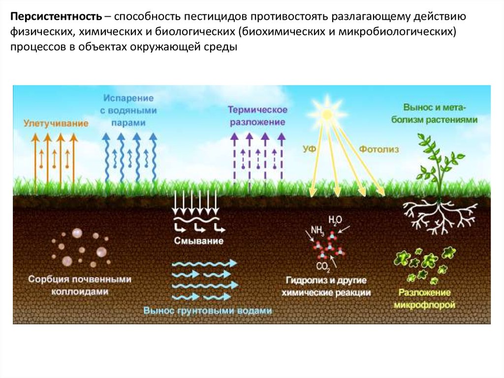 Физическое плодородие