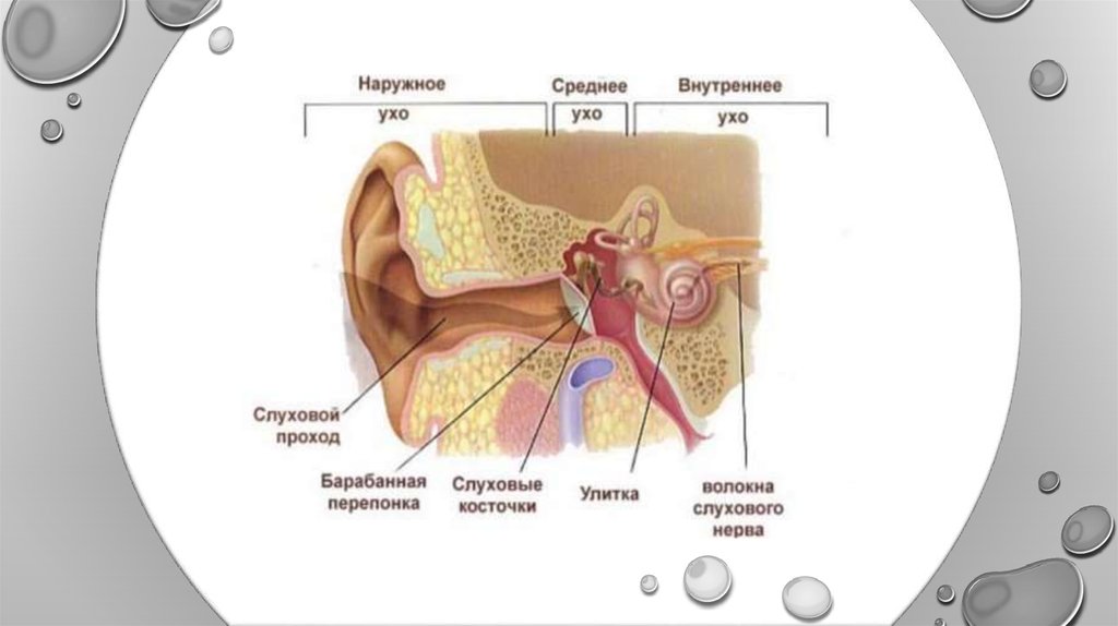 Причины воспаления среднего уха