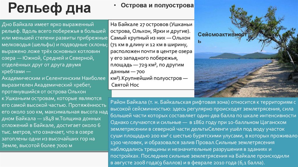 На рисунке показано цветение воды в озере байкал установите последовательность процессов