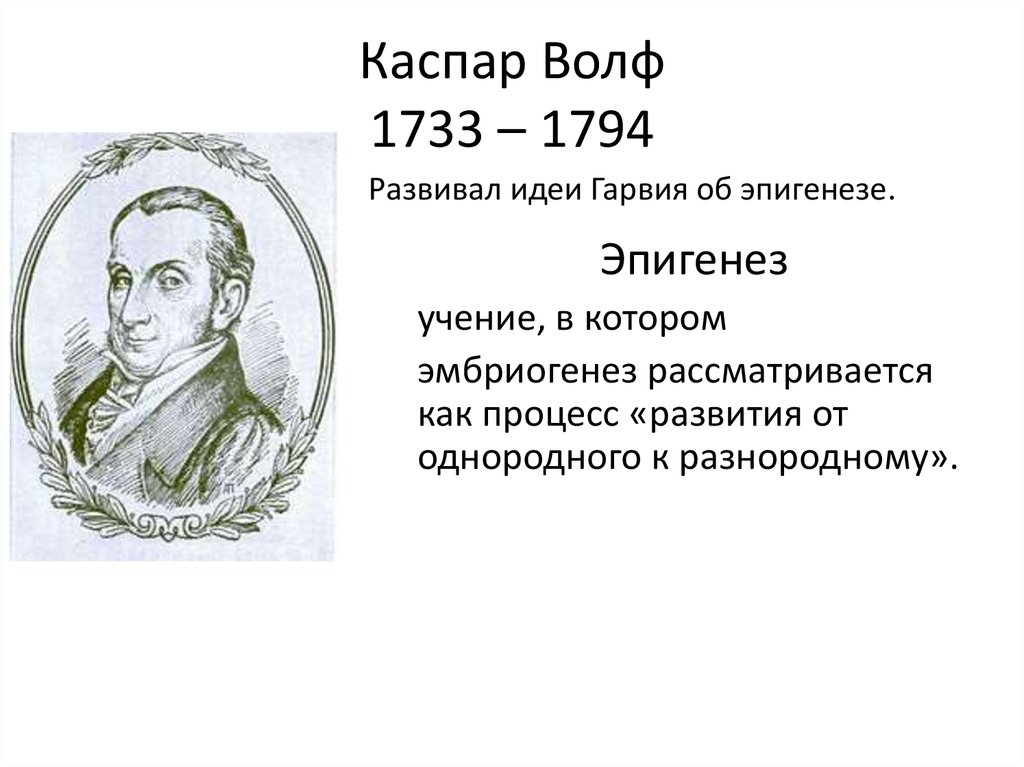 Каспар Волф 1733 – 1794