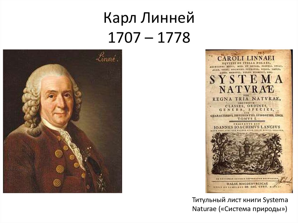 Карл Линней 1707 – 1778