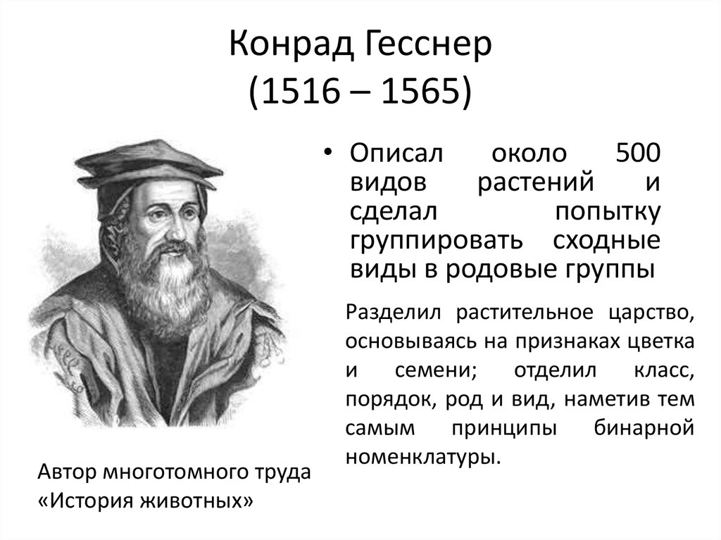 Конрад Гесснер (1516 – 1565)