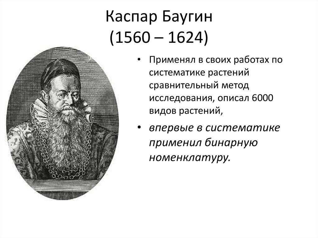 Каспар Баугин (1560 – 1624)