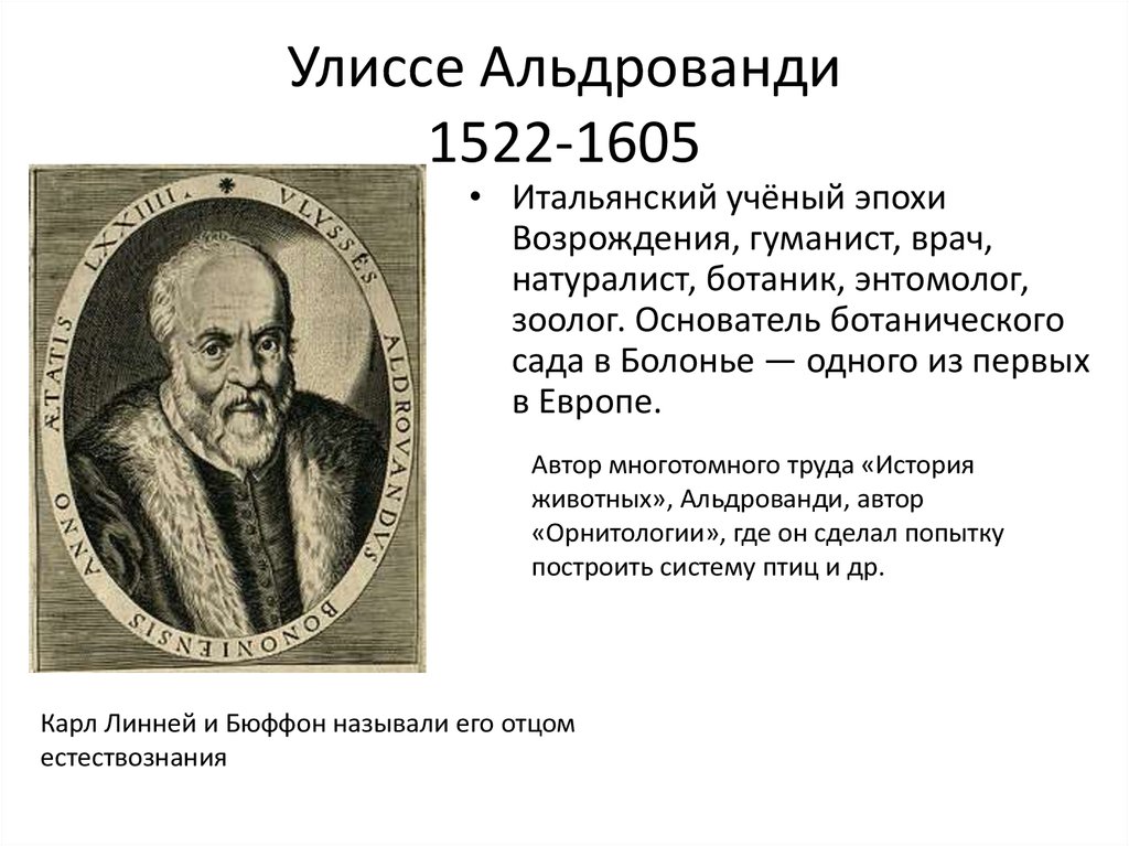 Улиссе Альдрованди 1522-1605