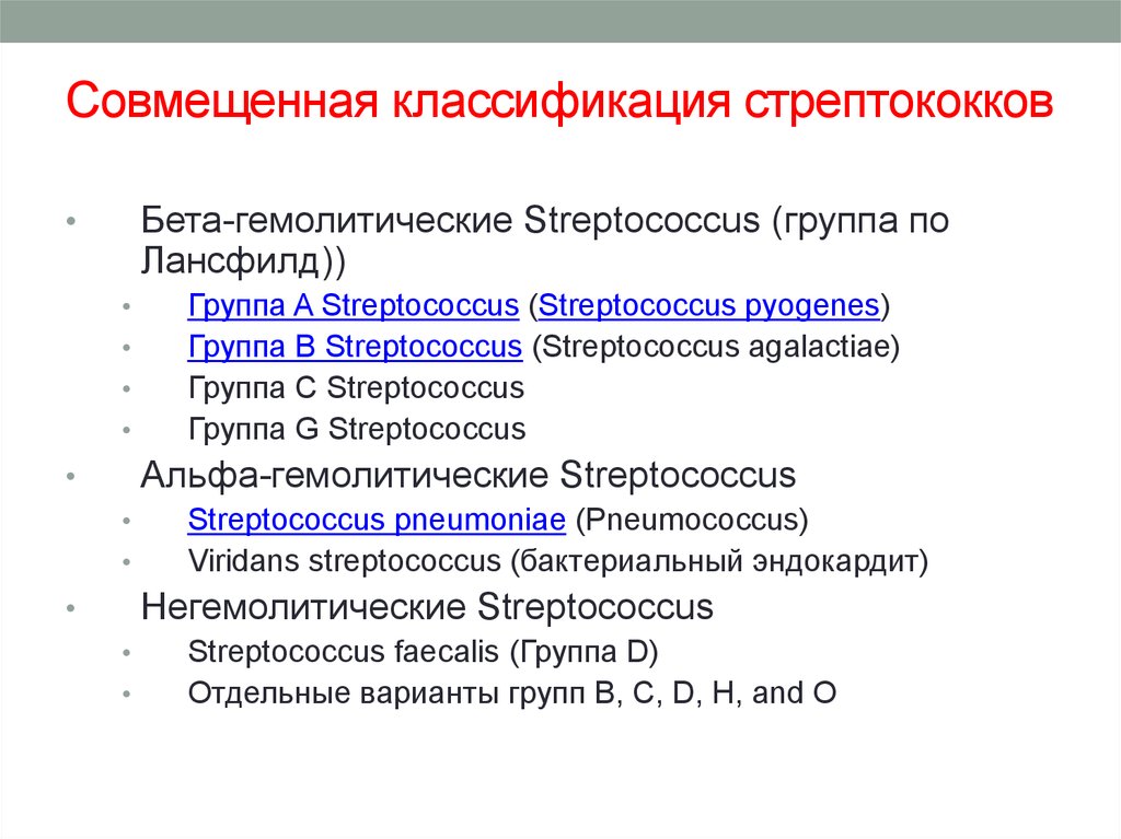 Схема исследования стрептококков