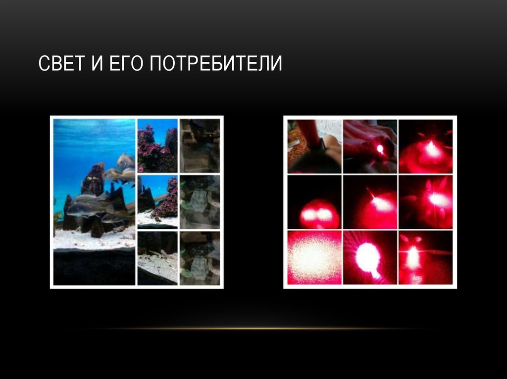 Свет и его потребители