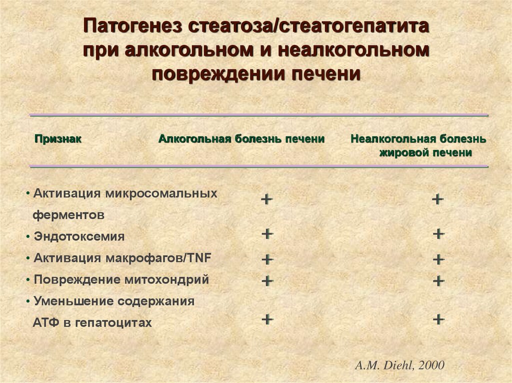 Стеатогепатит код по мкб 10