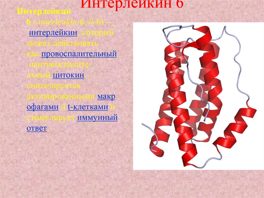 Интерлейкин 6