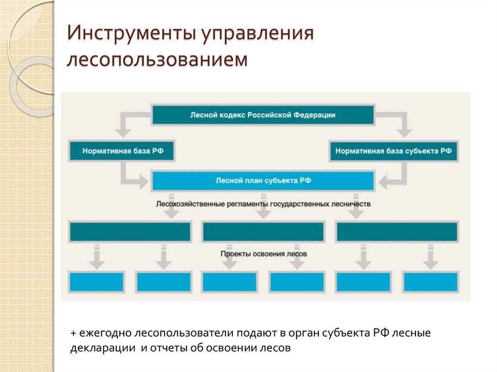 Лесные планы субъекта федерации не определяют лесного планирования