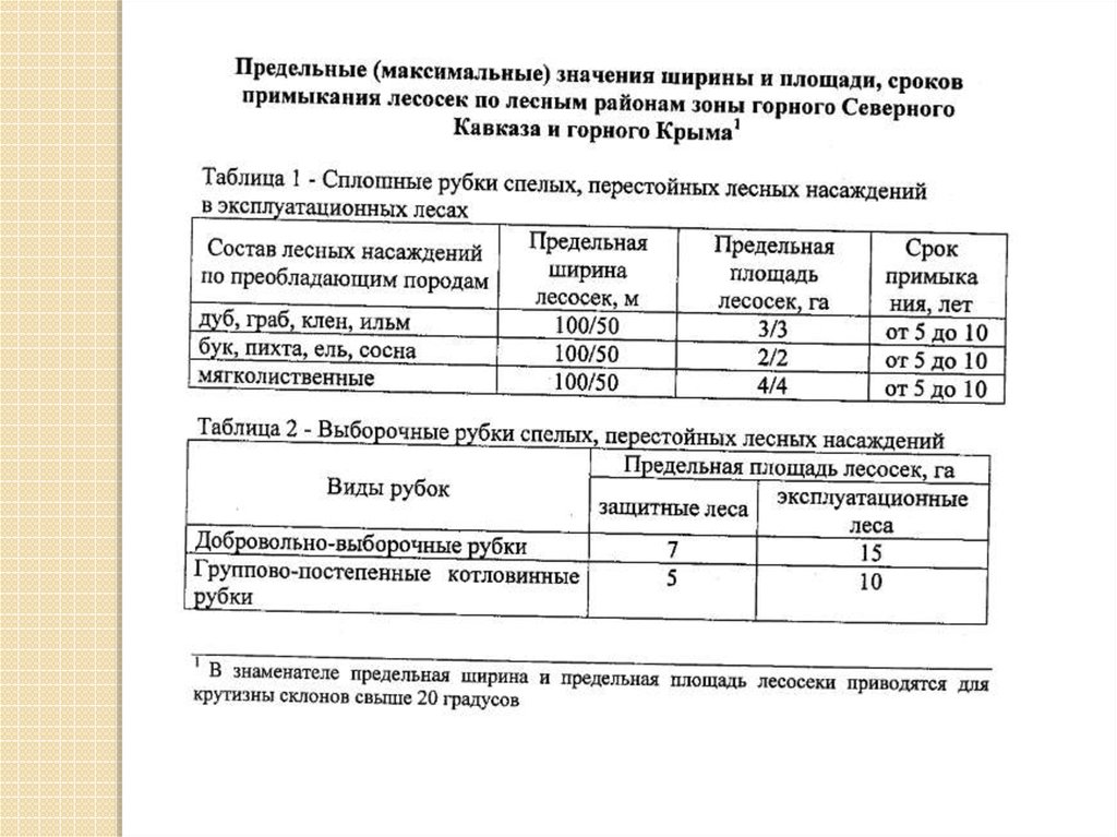 Образец справка о количестве заготовленной древесины