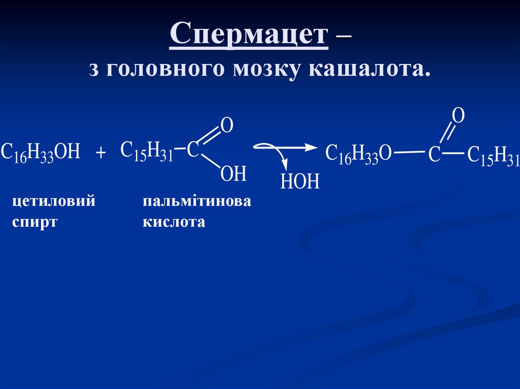 Спермацет что это