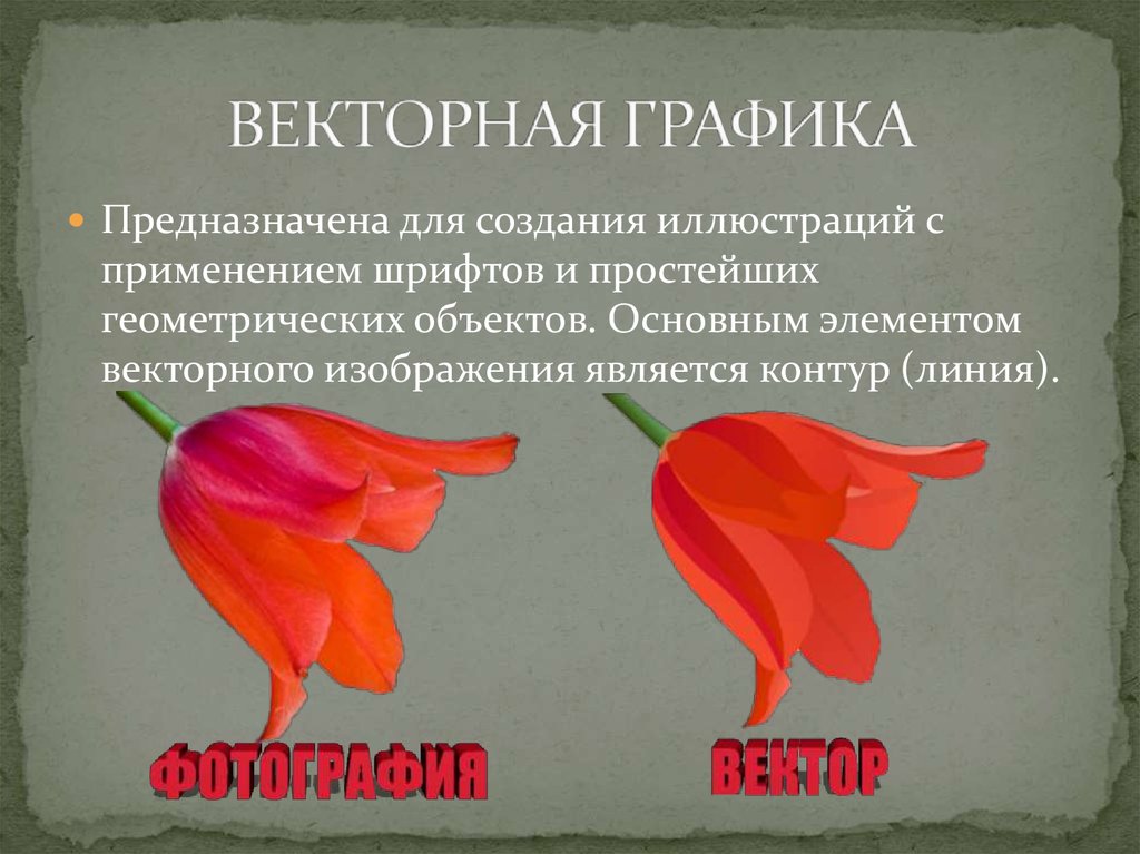 Достоинства векторной графики. Векторная Графика презентация. Векторная Графика предназначена для. Недостатки векторного изображения. Основное достоинство векторного изображения.