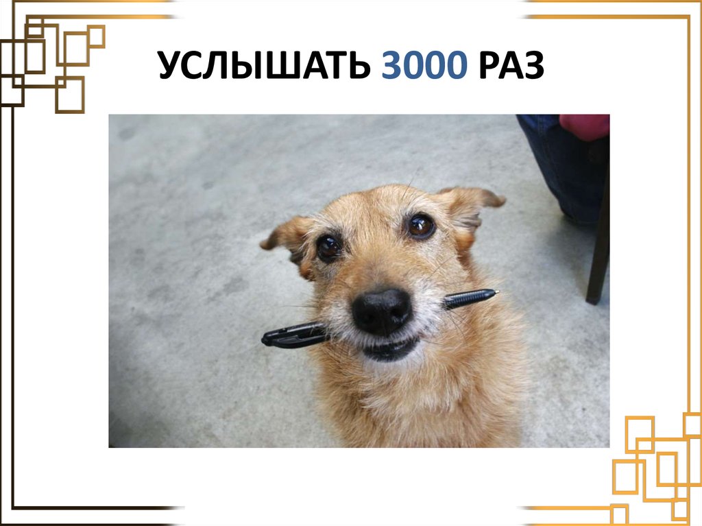 УСЛЫШАТЬ 3000 РАЗ