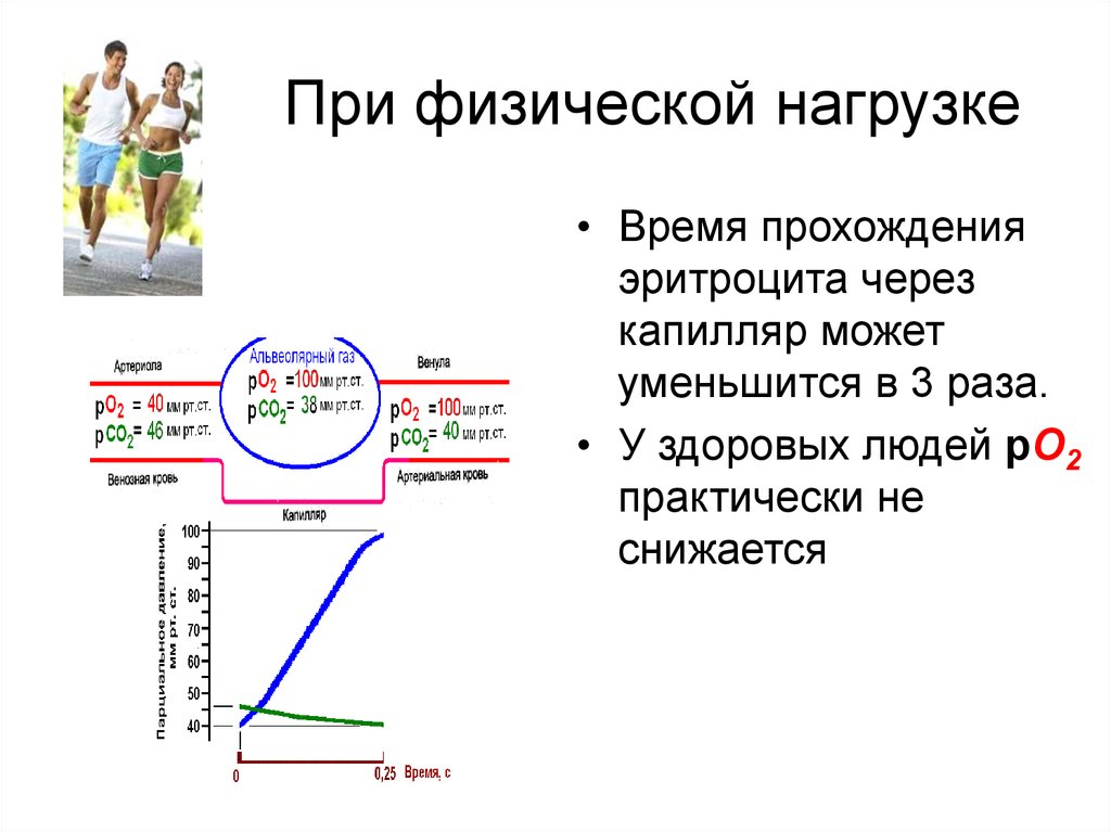 Дыхание при физических нагрузках