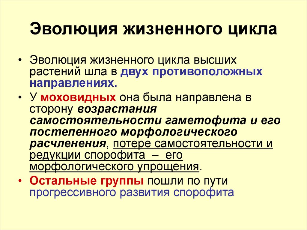 Цикл высших растений. Эволюция жизненных циклов. Эволюция жизненного цикла высших растений.. Эволюция жизненных циклов растений. Направления эволюции жизненного цикла растений.