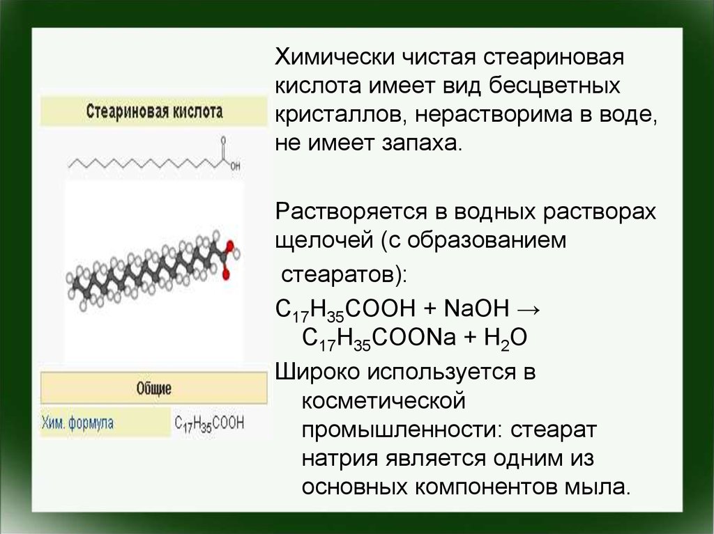 Углевод биополимер