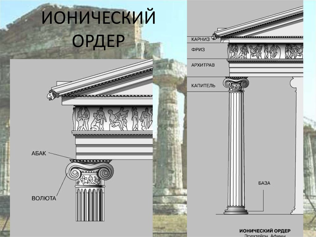 Ионический ордер схема