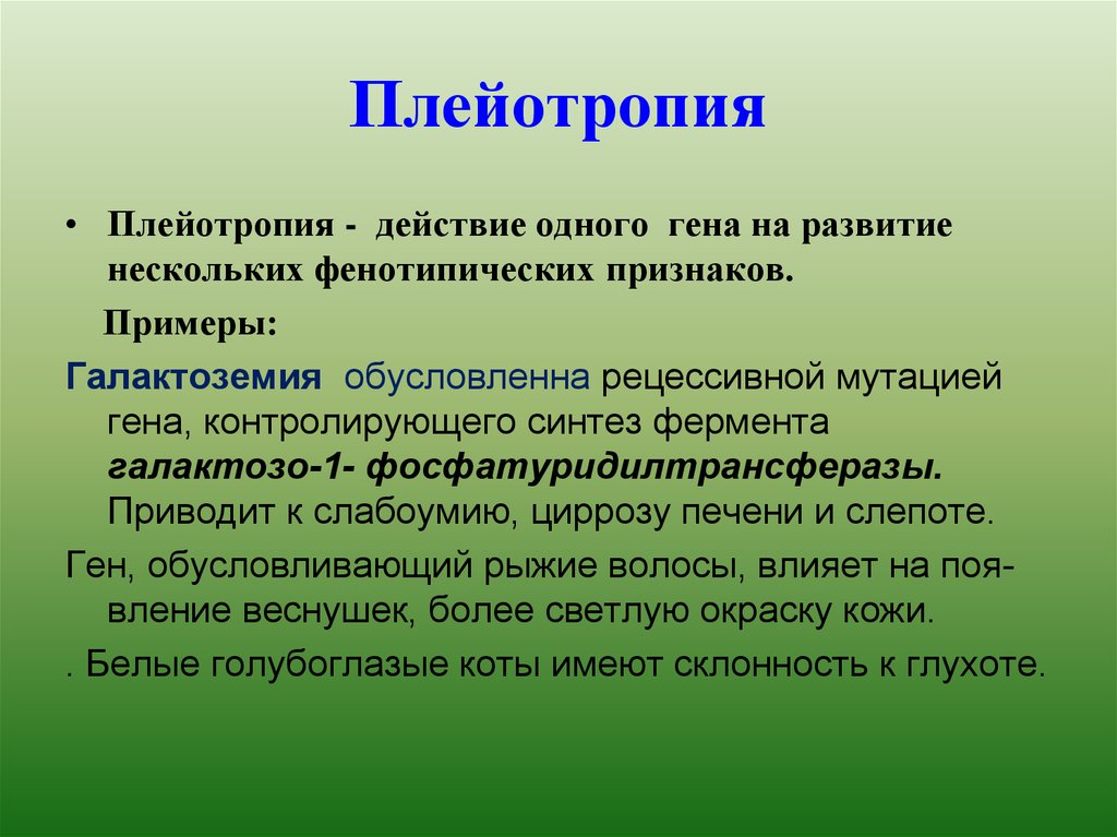 Катастрофическим условием прекращения проекта может быть