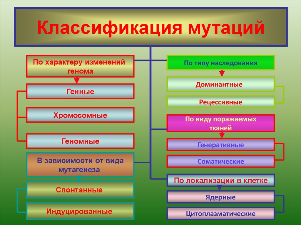 Классификация мутаций схема