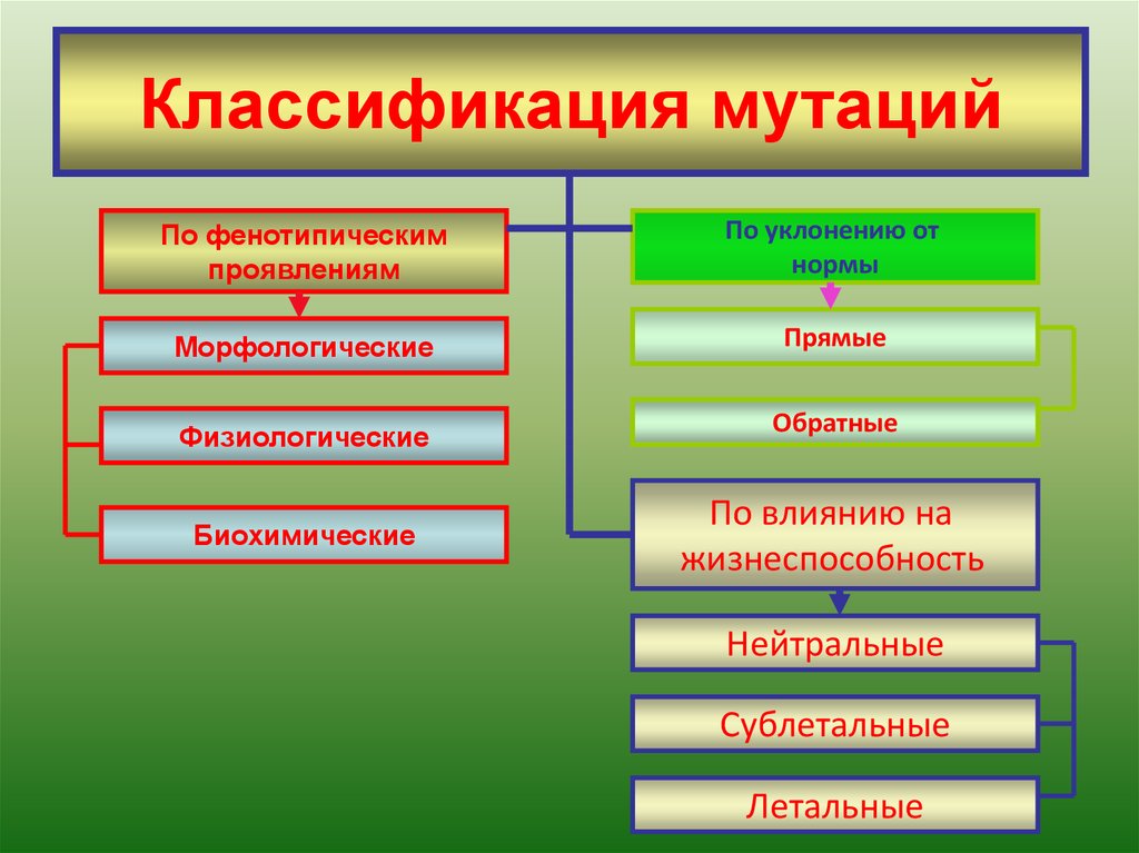 Фенотипически не проявляются мутации. Системы классификации мутаций. Классификация мутаций по проявлению. Классификация мутаций по уклонению от нормы. Фенотипическое проявление мутаций.