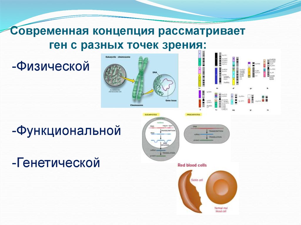 Концепция рассматривающая