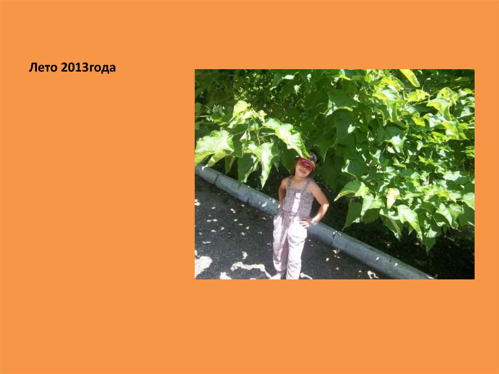 Лето 2013года