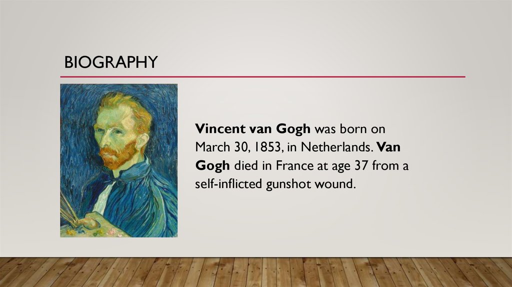 van gogh biography short
