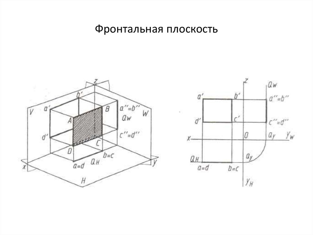 Фронтальная плоскость. Фронтальная и горизонтальная плоскость. Фронтальная плоскость уровня. Фронтальная поверхность. Профильная плоскость поверхности.