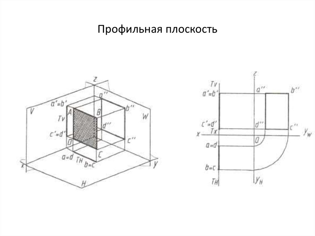 Профильная плоскость. Профильная плоскость на чертеже. Фронтальная и профильная плоскость квадрата. W профильная плоскости.