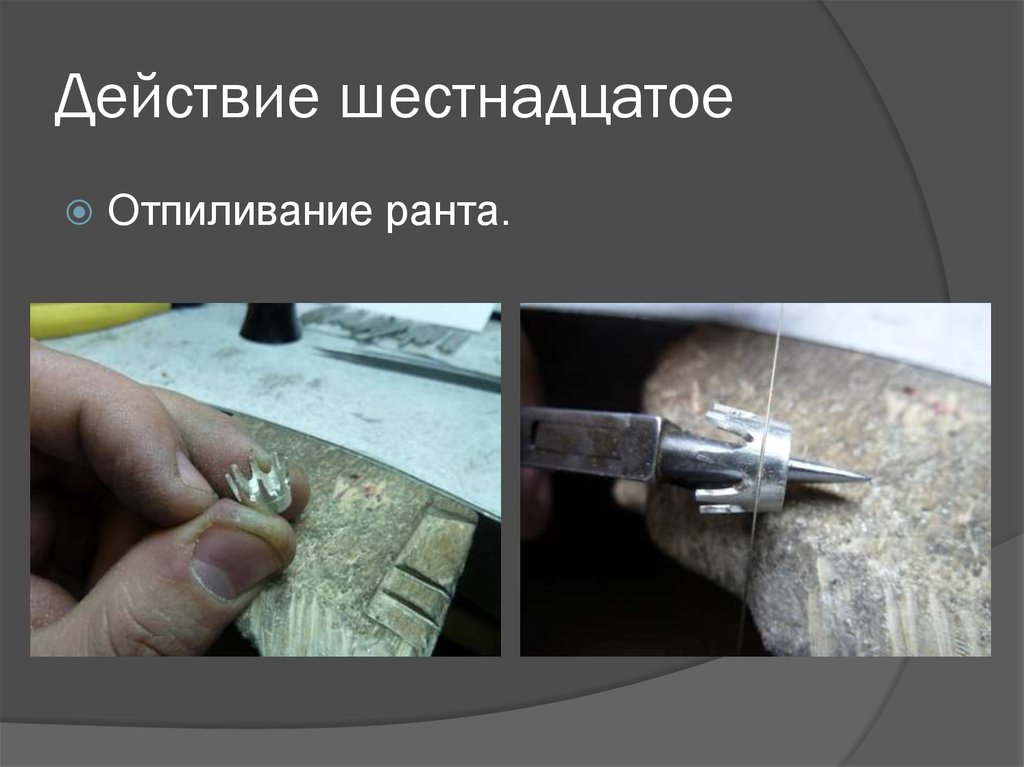 Действие шестнадцатое