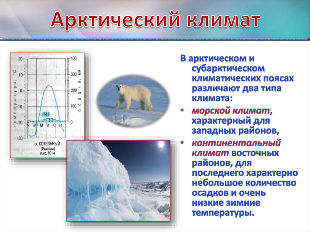 Характеристика арктических пустынь по плану 8 класс география