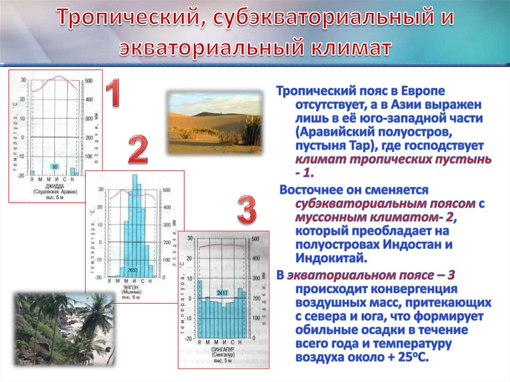 План описания климата тропический