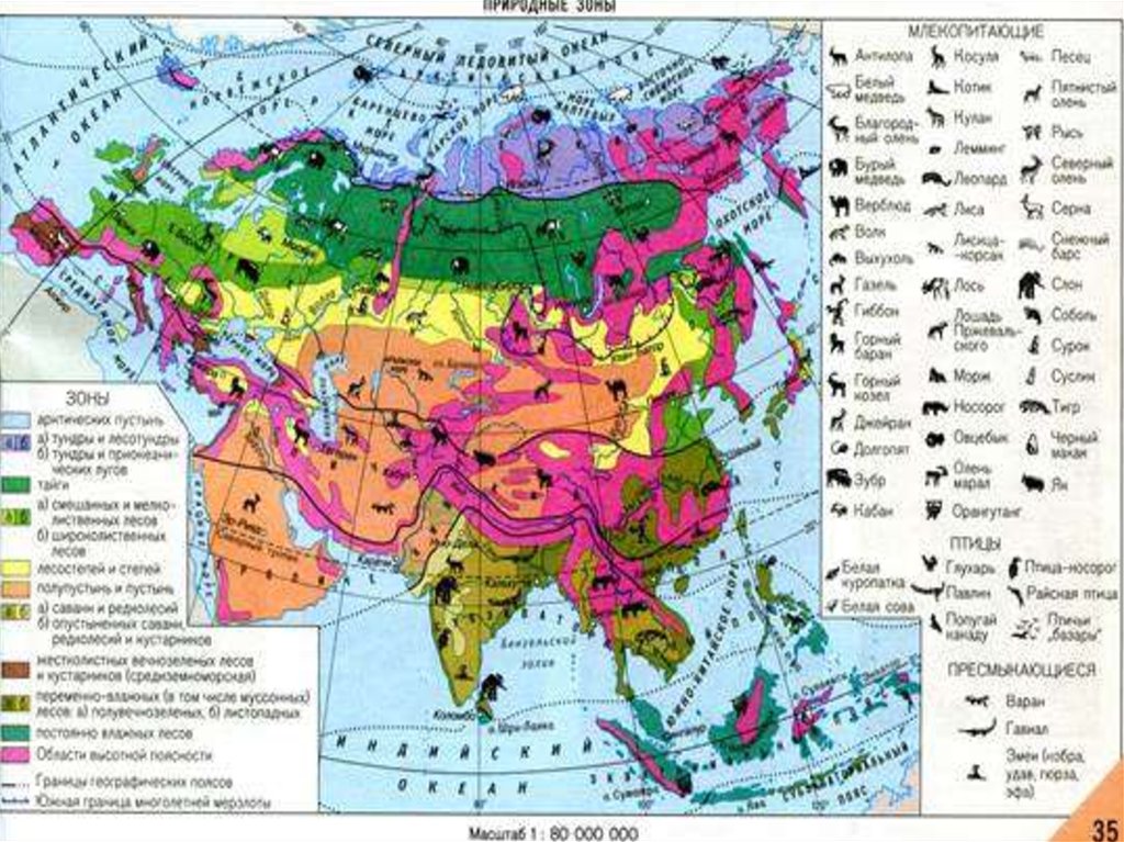 Зоны и животный и растительный мир. Карта Евразия природные зоны материка. Карта природных зон Евразии. Карта зон Евразии природных Евразии. Евразия климат природные зоны атлас.