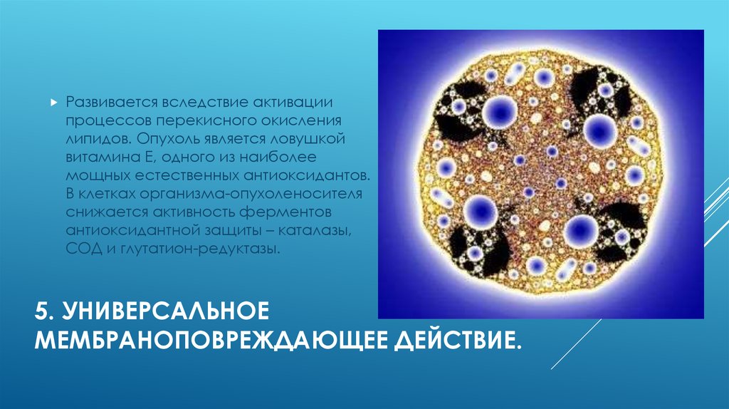 5. Универсальное мембраноповреждающее действие.